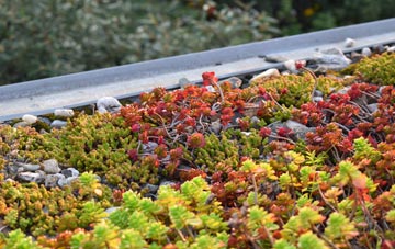 the cost of Croes Goch green roof installation