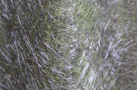 Croes Goch fibreglass roof work